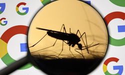 Google, ABD'de hastalıkları engellemek için 32 milyon "kısır sivrisineği" doğaya salmayı planlıyor