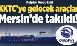 Dolphin Group krizi