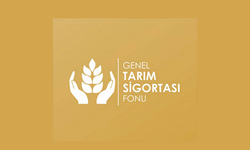 Narenciye dolu zararları ödendi