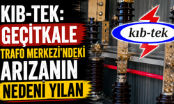 KIB-TEK: Geçitkale Trafo Merkezi'ndeki arızanın nedeni yılan