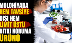 Molohiyada hem tavsiye dışı hem limit üstü bitki koruma ürünü