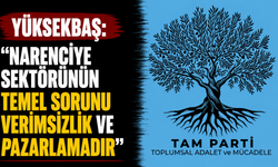 Yüksekbaş: "Narenciye sektörünün temel sorunu verimsizlik ve pazarlamadır"