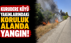 Kurudere köyü yakınlarındaki koruluk alanda yangın...