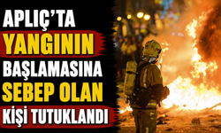 Aplıç'ta yangının başlamasına sebep olan kişi tutuklandı