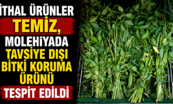 İthal ürünler temiz, molehiyada tavsiye dışı bitki koruma ürünü tespit edildi