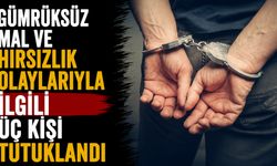 Gümrüksüz mal ve hırsızlık olaylarıyla ilgili üç kişi tutuklandı