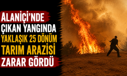 Alaniçi'nde çıkan yangında yaklaşık 25 dönüm tarım arazisi zarar gördü