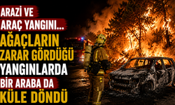 Arazi ve araç yangını...Ağaçların zarar gördüğü yangınlarda bir araba da küle döndü