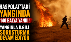 Haspolat'taki yangında 140 balya yandı