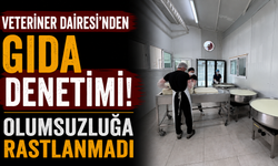 Veteriner Dairesi’nden gıda denetimi... Olumsuzluğa rastlanmadı