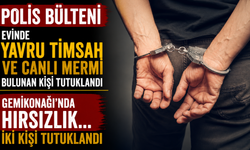 Evinde yavru timsah ve canlı mermi bulunan kişi tutuklandı