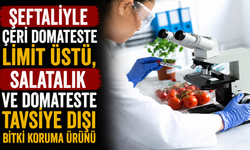 Şeftaliyle çeri domateste limit üstü, salatalık ve domateste tavsiye dışı bitki koruma ürünü