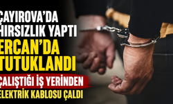 Çayırova’da hırsızlık yaptı Ercan’da tutuklandı