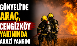 Gönyeli’de araç, Cengizköy yakınında arazi yangını