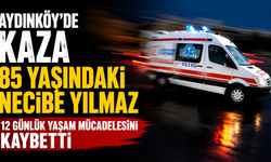 Aydınköy’de aracın çarptığı 85 yaşındaki Necibe Yılmaz 12 günlük yaşam mücadelesini kaybetti