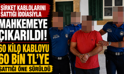 Şirket Kablolarını Sattığı İddiasıyla Mahkemeye Çıkarıldı