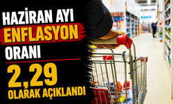 Haziran ayı enflasyon oranı 2,29 olarak açıklandı
