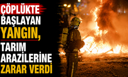 Çöplükte başlayan yangın, tarım arazilerine zarar verdi