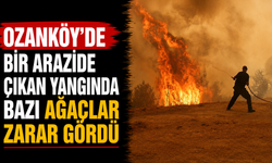 Ozanköy’de bir arazide çıkan yangında bazı ağaçlar zarar gördü