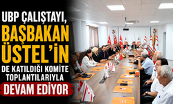 UBP Çalıştayı, Başbakan Üstel’in de katıldığı komite toplantılarıyla devam ediyor