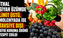İthal siyah üzümde limit üstü, molehiyada ise tavsiye dışı bitki koruma ürünü tespit edildi