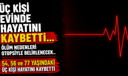 Üç Kişi Evinde Hayatını Kaybetti...
