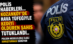 Polis haberleri... Kozanköy’de hava tüfeğiyle kediyi öldüren şahıs tutuklandı