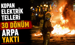 Kopan elektrik telleri 30 dönüm arpa yaktı