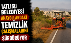 Tatlısu Belediyesi anayollardaki temizlik çalışmalarını sürdürüyor