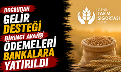 Doğrudan Gelir Desteği birinci avans ödemeleri bankalara yatırıldı