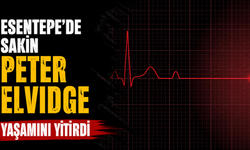 Esentepe'de sakin Peter Elvidge yaşamını yitirdi