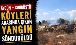 Aygün – Sınırüstü köyleri arasında çıkan yangın söndürüldü