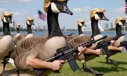Kanada'yı hedef alan Trump'tan "Donald Duck" ordusu paylaşımı