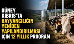 Güney Kıbrıs’ta hayvancılığın yeniden yapılandırılması için 12 yıllık program