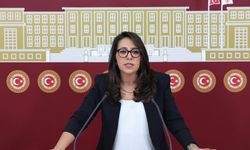 Kadıgil hakkında "Cumhurbaşkanına hakaret" ve "Tehdit" suçlarından soruşturma