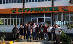 Narenciye Kesim Ekipleri Birliği ödeme talep etti