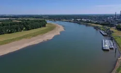 Almanya'da Ren, Elbe ve Tuna nehirlerinde su seviyesi kritik düzeye geriledi