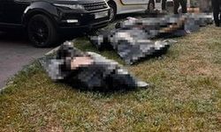 İngiltere'de polis aracı ile otomobilin çarpıştığı kazada çok sayıda kişi öldü