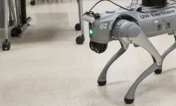 ABD, göçmen denetimlerinde robot "köpekler" kullanmak için yaklaşık 2 milyon dolar harcamayı planlıyor