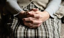 Bağırsak sağlığıyla Alzheimer arasında yeni bir bağlantı bulundu