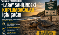 “Akama” bölgesindeki “Lara” sahilindeki kaplumbağalar için çağrı