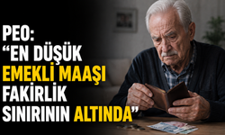 PEO:"En düşük emekli maaşı fakirlik sınırının altında