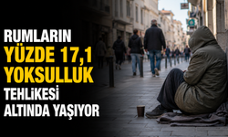 Rumların yüzde 17,1 yoksulluk tehlikesi altında yaşıyor