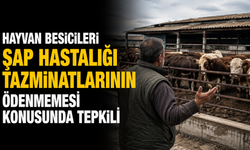 Hayvan besicileri şap hastalığı tazminatlarının ödenmemesi konusunda tepkili
