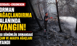 Serdarlı-Ergonekon orman ağaçlandırma alanında yangın…