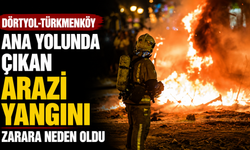 Dörtyol-Türkmenköy ana yolunda çıkan arazi yangını zarara neden oldu