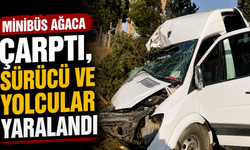Minibüs ağaca çarptı, sürücü ve yolcular yaralandı