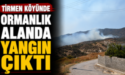 Tirmen'de yangın