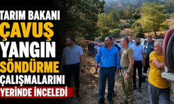 Tarım Bakanı Çavuş yangın söndürme çalışmalarını yerinde inceledi
