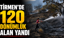 Tirmen’de 120 dönümlük alan yandı